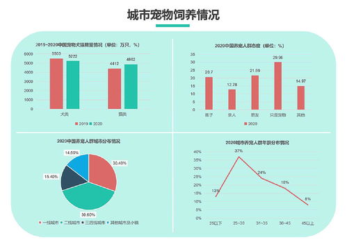数字化陪伴 宠物丧葬服务与数字内容制作的融合设计